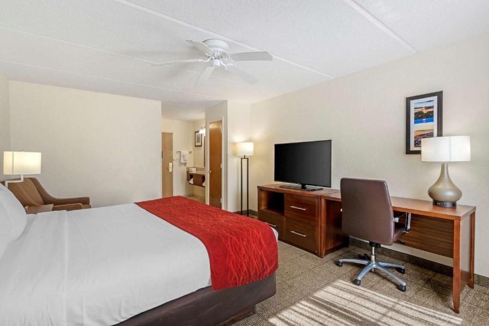 Comfort Inn Kissimmee